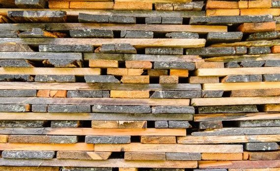 Экспорт лесоматериалов только через биржу – проект декрета