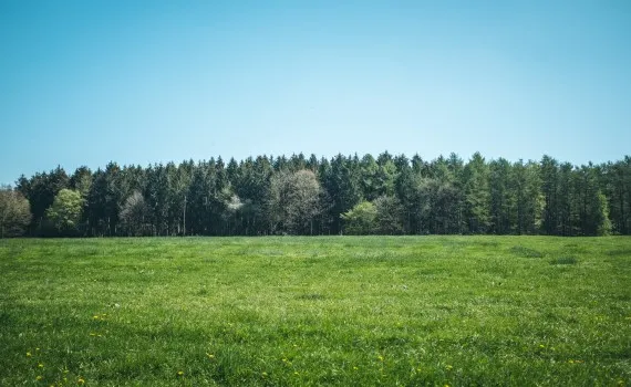 Проект указа “О совершенствовании земельных отношений”