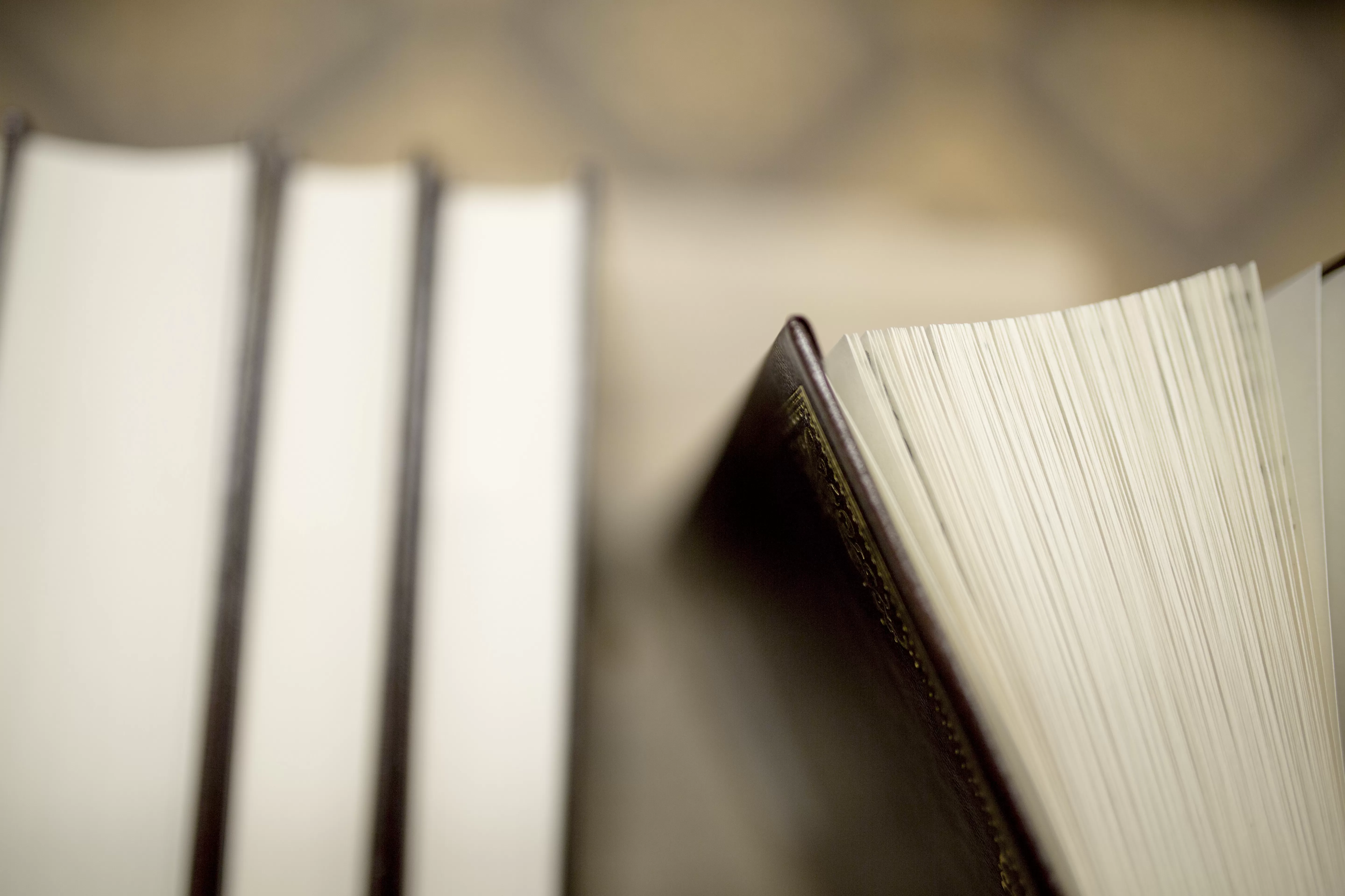 Закон № 134-З: что изменится для бизнеса в Беларуси